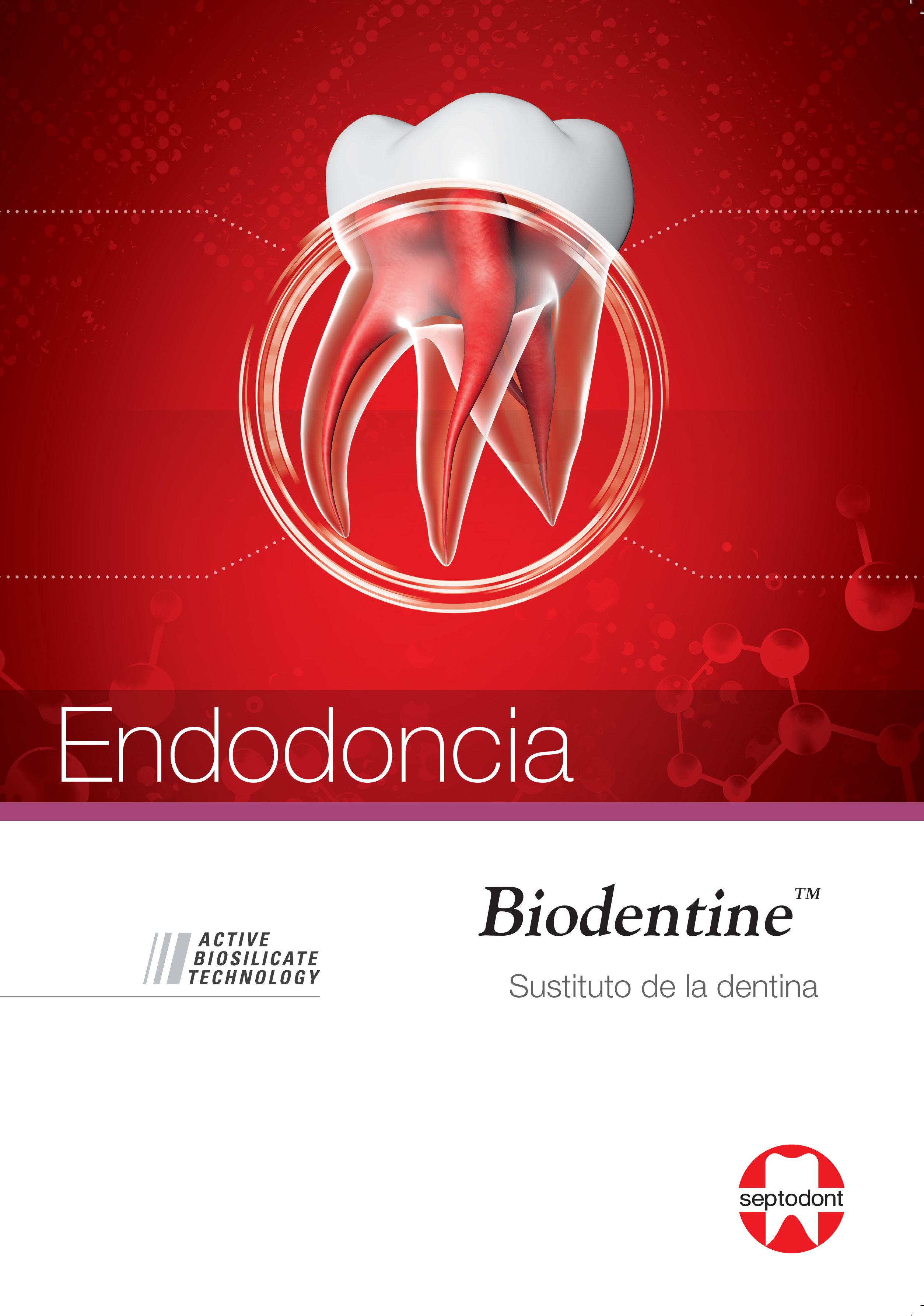 Biodentine Endodoncia