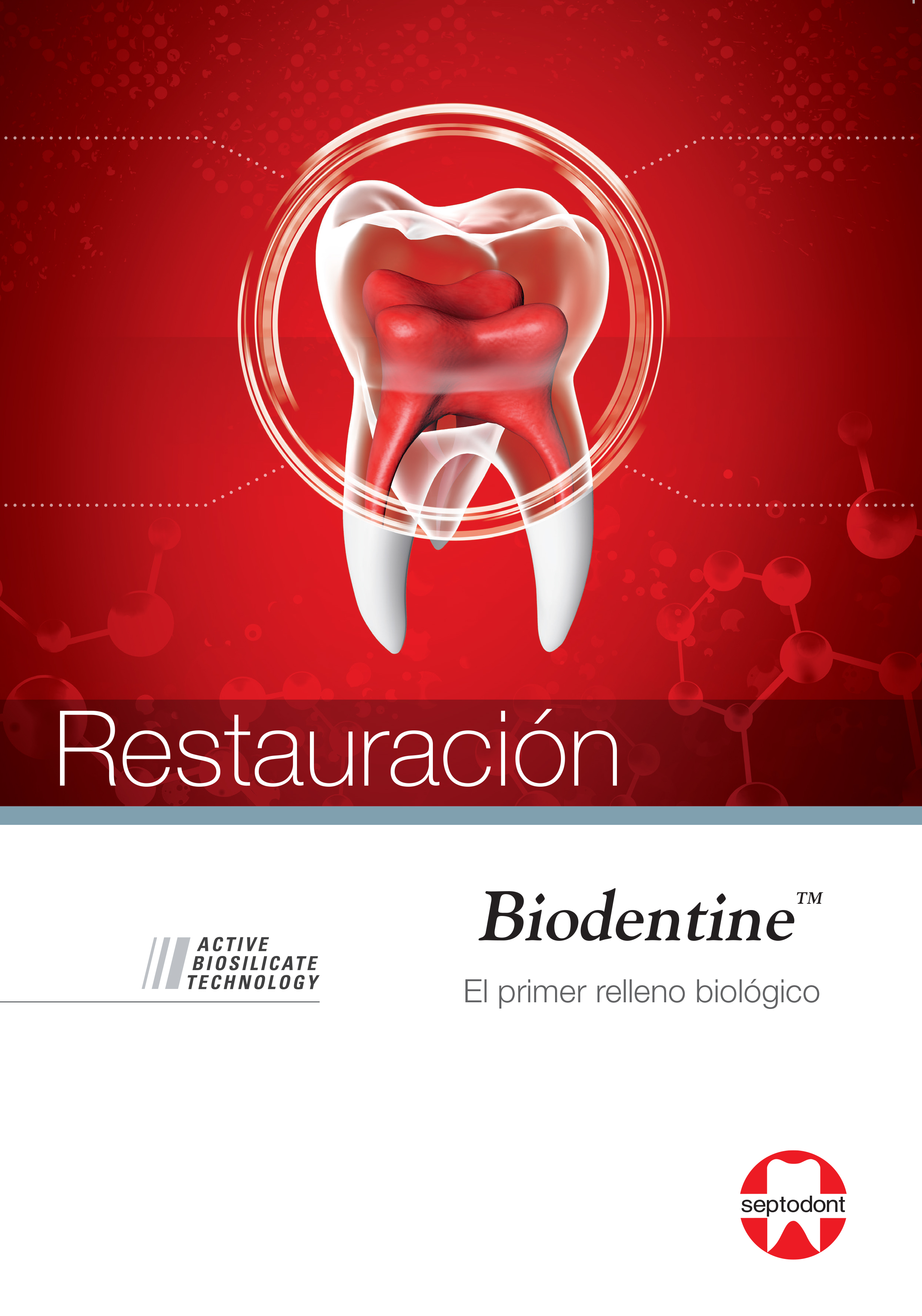 Biodentine Resto preview Hubspot ES